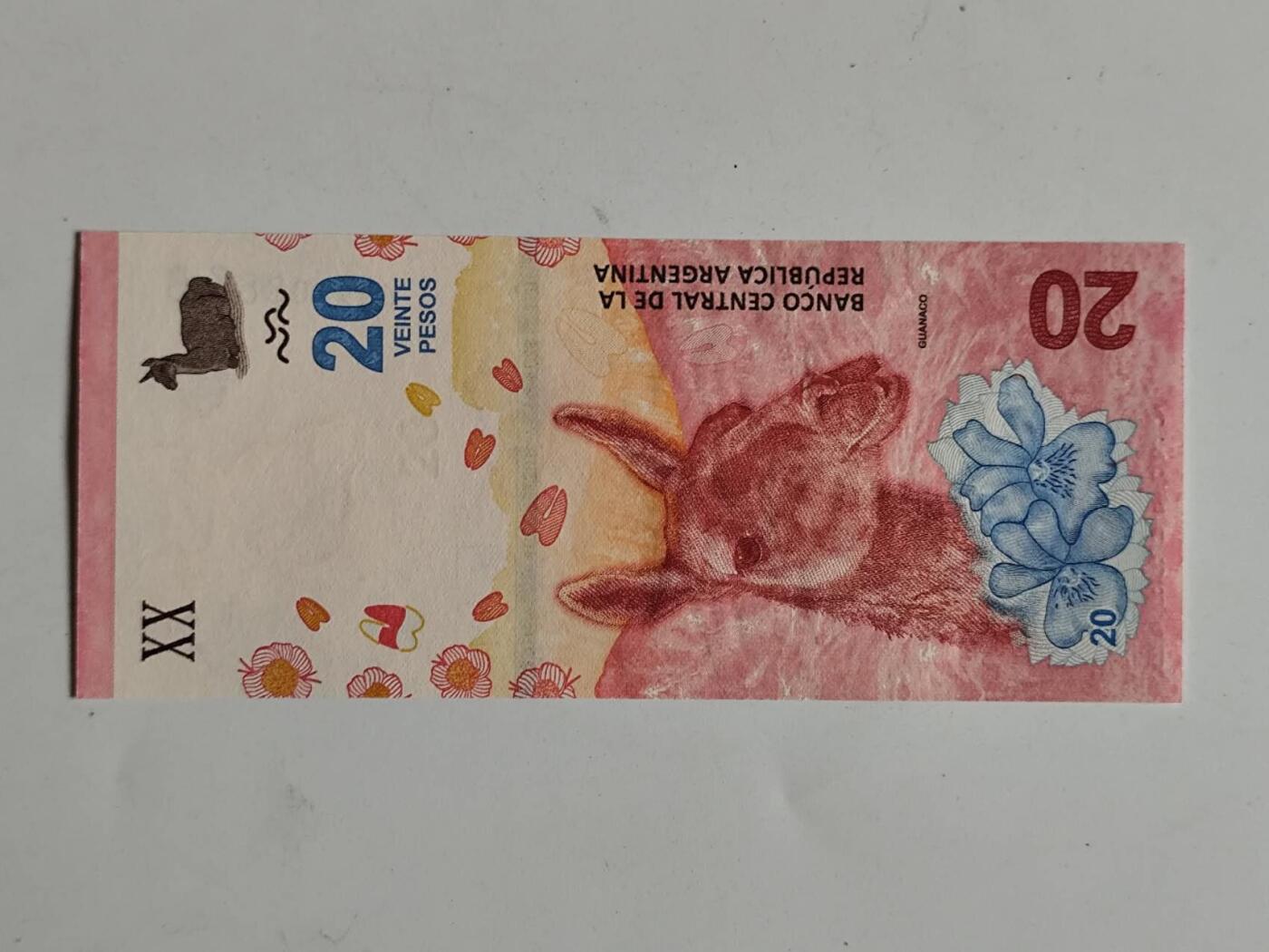 10月26日纸币专场