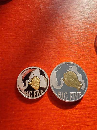 长老汇蛇年精选第六十八场拍卖 - 2013民主刚果非洲五霸犀牛镀金精制银币，10+30法郎，3000枚