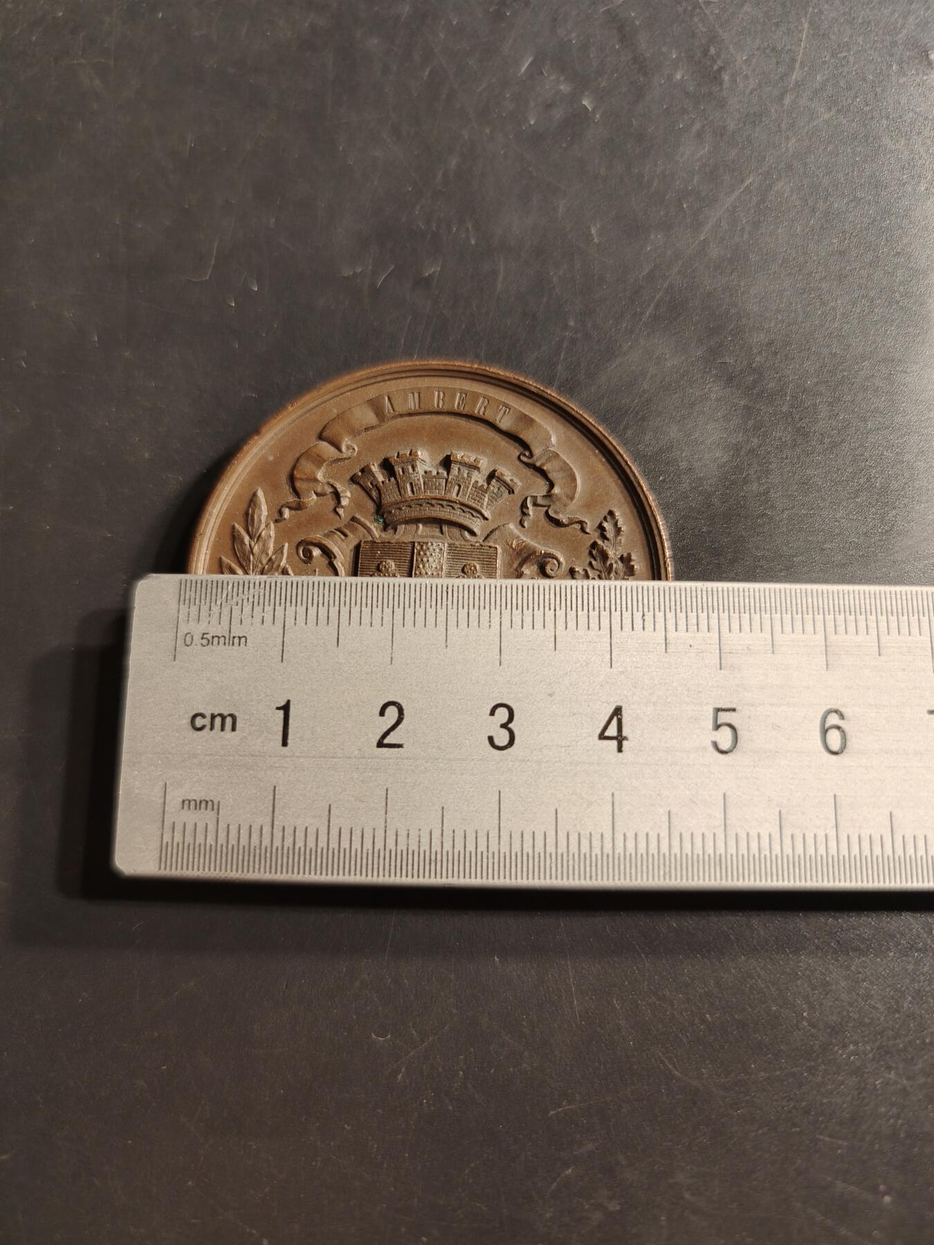 老王徽章第159期 法国多姆山省议会赠大铜章     直径46mm.   重量46.6g