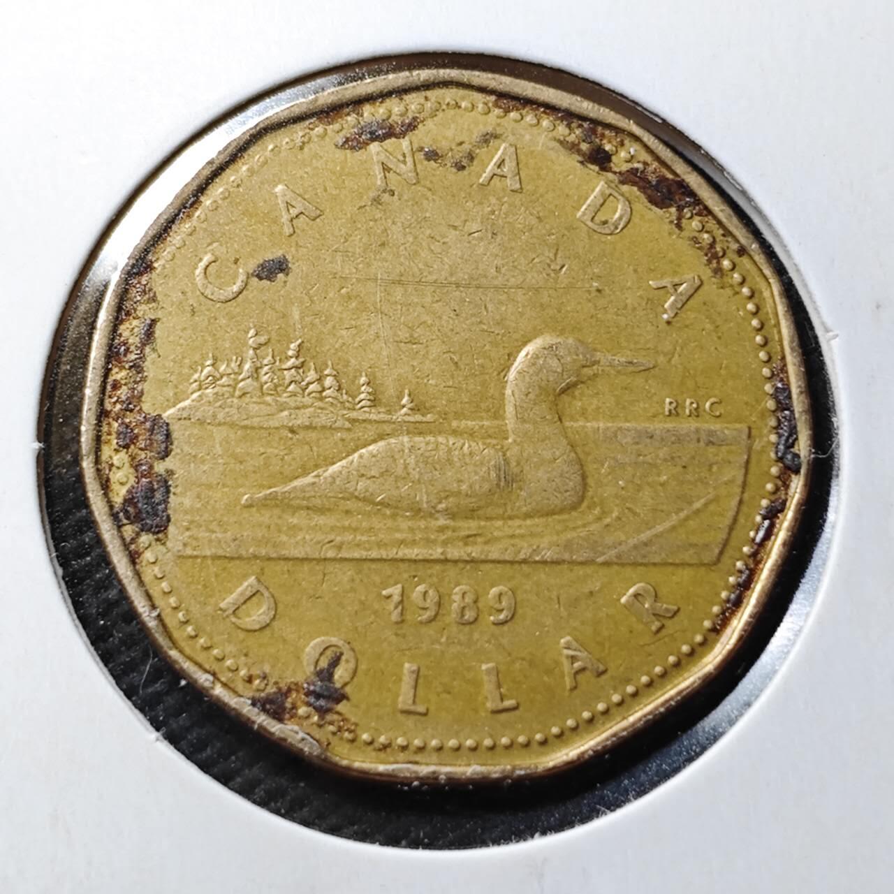 KK钱币收藏小铺  第360场  2月预留时间 周末发货