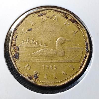 KK钱币收藏小铺  第360场  2月预留时间 周末发货 -  加拿大1元