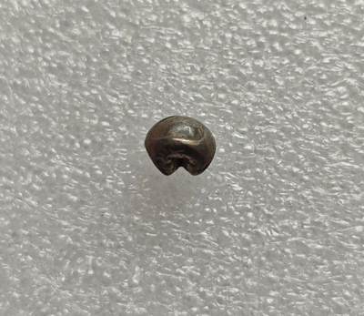 瓶子🏺第214期拍卖会 -   素可泰王朝象戳海螺戳记屁股锭银锭