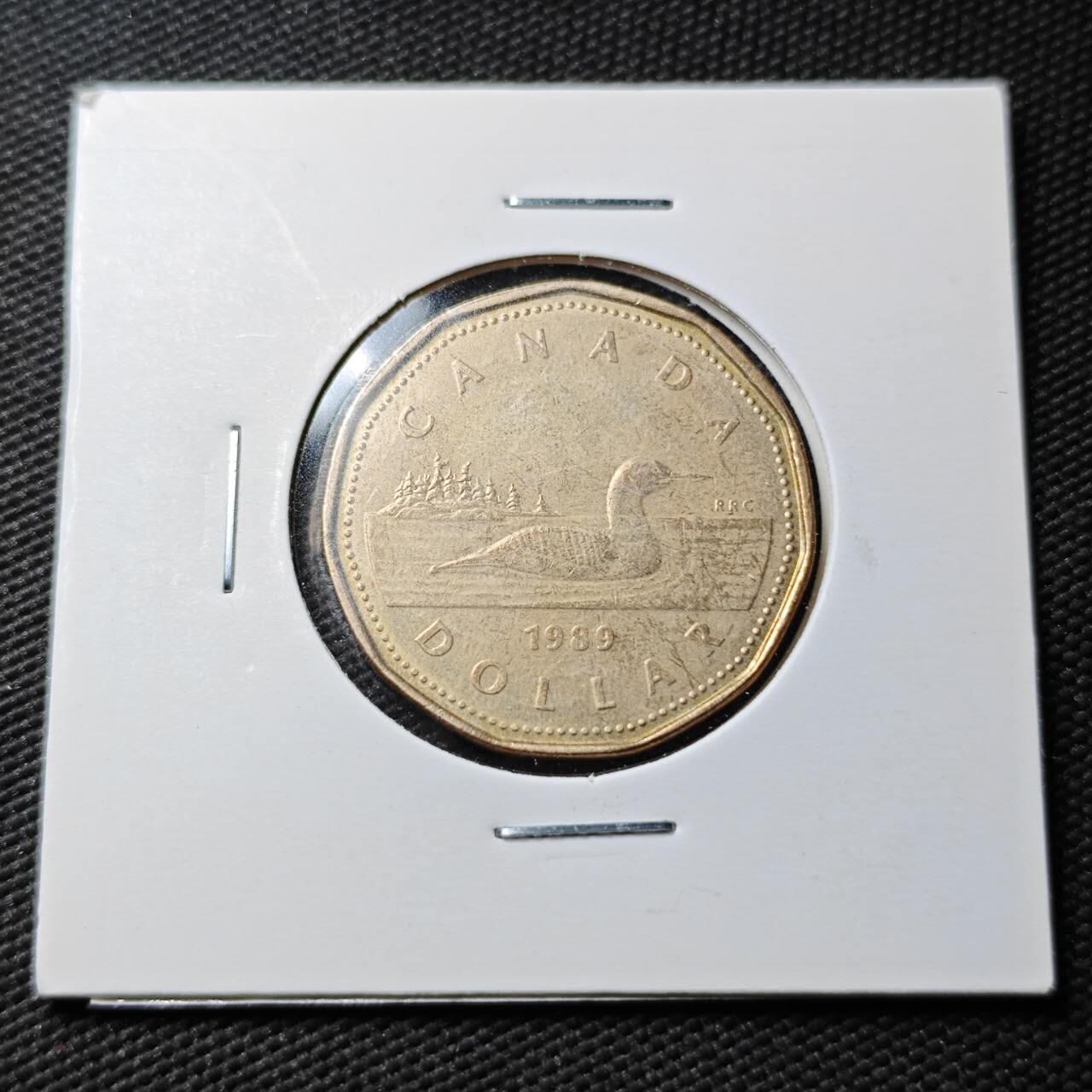 KK钱币收藏小铺  第360场  2月预留时间 周末发货  1989加拿大1元