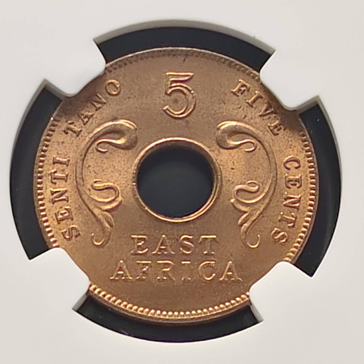 【全场包邮】纯粹捡漏拍473场（免费代拍第10场）