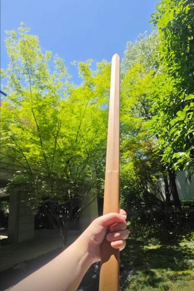 听雨轩（10） 名家名画中堂挂画（一） - 重蚁木双手剑一体手工制作 实木太极棍剑 100*3.2*2.3cm