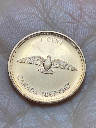 2025年第一百一十九场(总第一百四十五场）外国好品散币(免佣金) - 精制币–加拿大🇨🇦1967年1分(联邦成立百年纪念币)