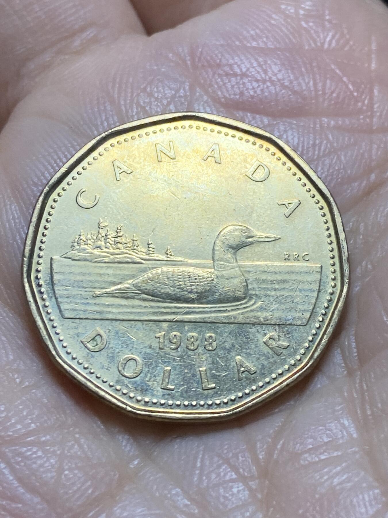 2025年第一百一十九场(总第一百四十五场）外国好品散币(免佣金) 加拿大🇨🇦1988年1元(伊丽莎白二世中年花冠，浅浮雕版)