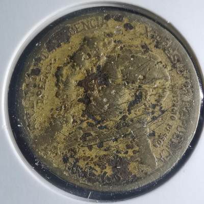 沼泽如烟--第885场 - 巴西