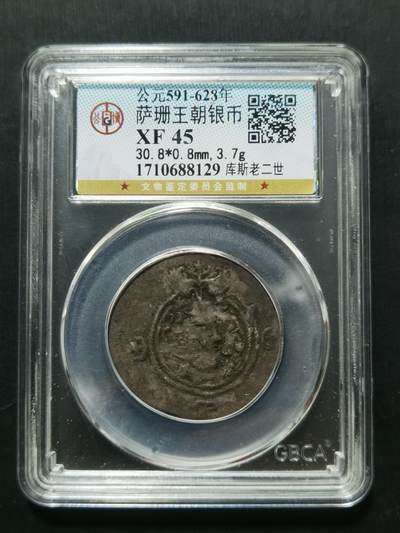 天下钱庄专场欢迎参拍 - 萨珊王朝银币