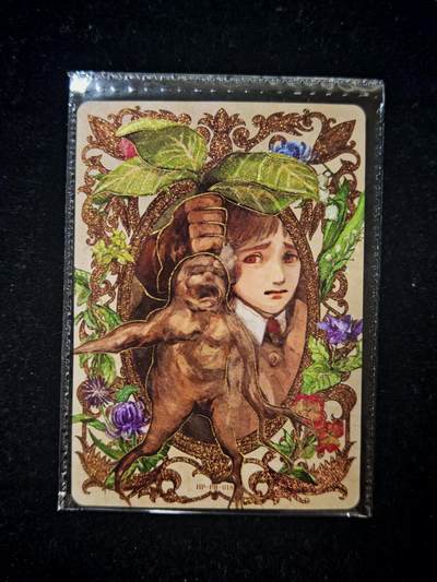 琦卡当当铺≯第24期★★各种小漏~支持寄存★★~【9点40结束】扫码加群抽[包邮券]~周二结束 - 卡游-哈林波特-特卡-薄卡-1张