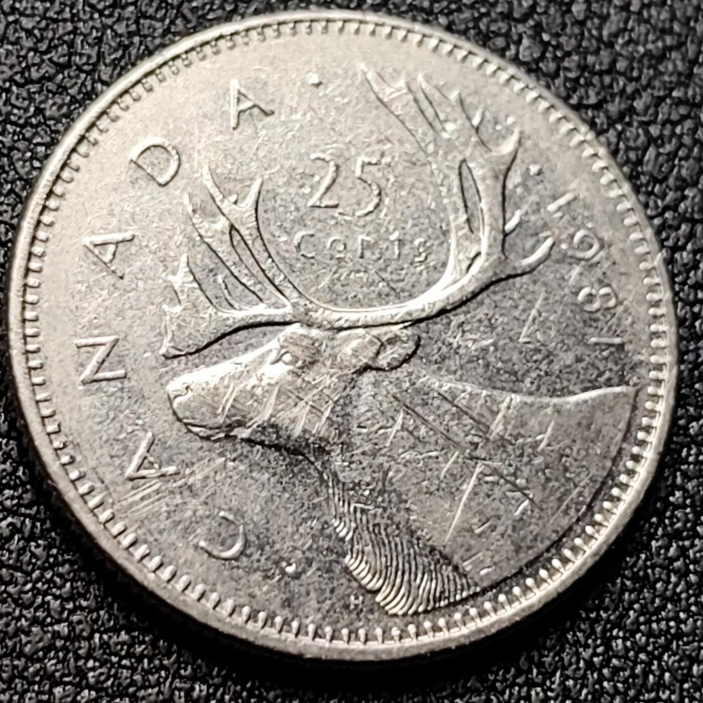 泉币菌-第119场-精品福利场 高币值 加拿大1981年1/4加拿大元 伊丽莎白二世 驯鹿 24mm 