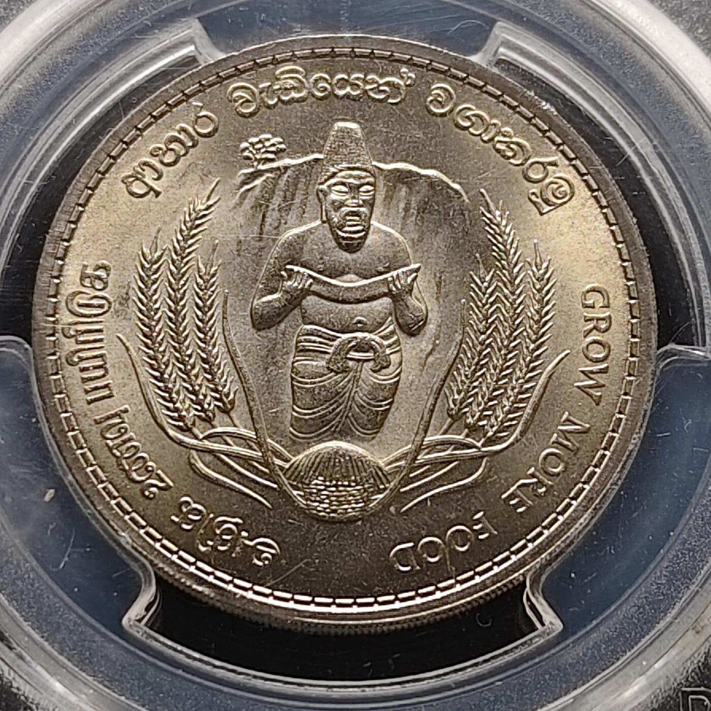 【全场包邮】纯粹捡漏拍473场（免费代拍第10场）