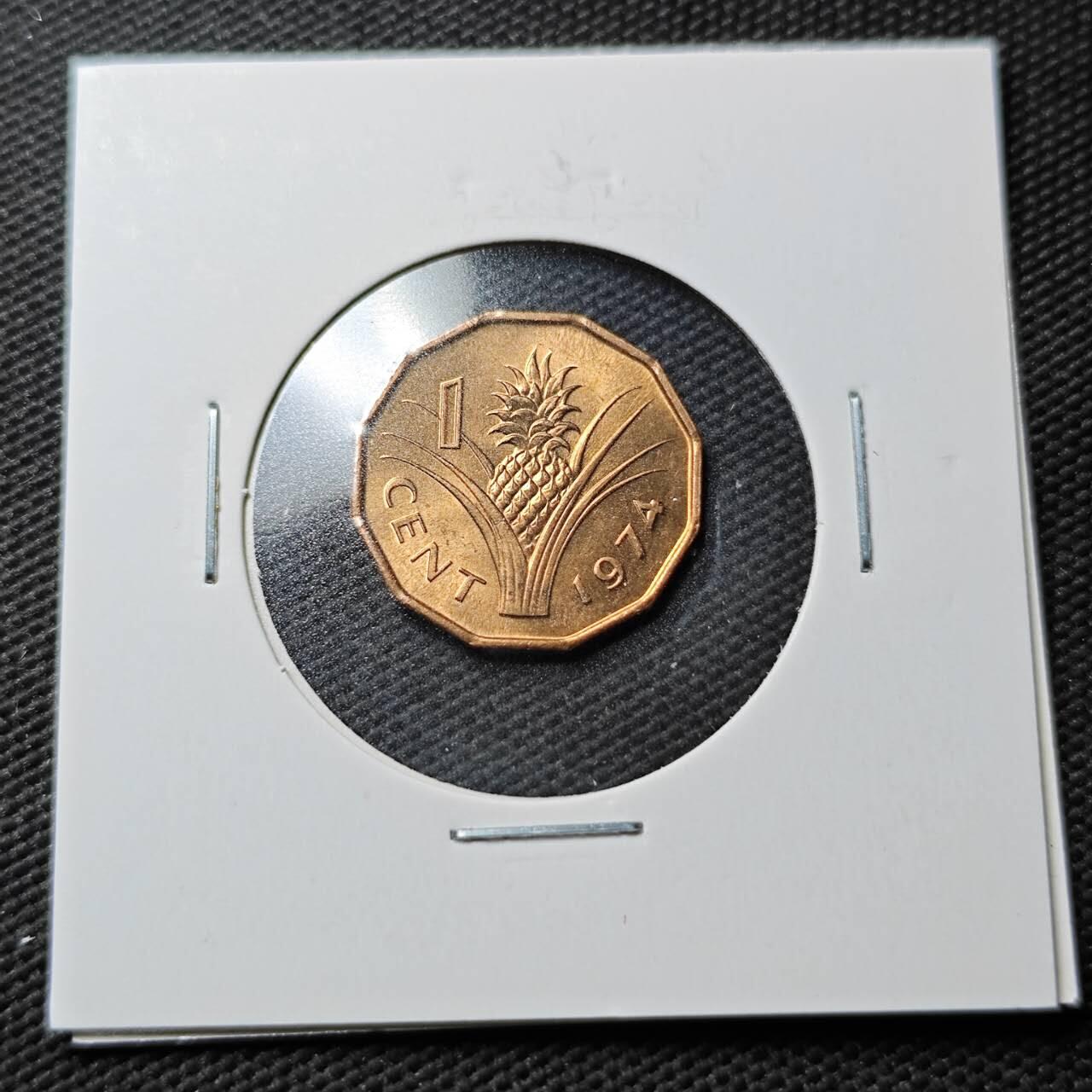 KK钱币收藏小铺  第360场  2月预留时间 周末发货  1974斯威士兰1分铜币 好品