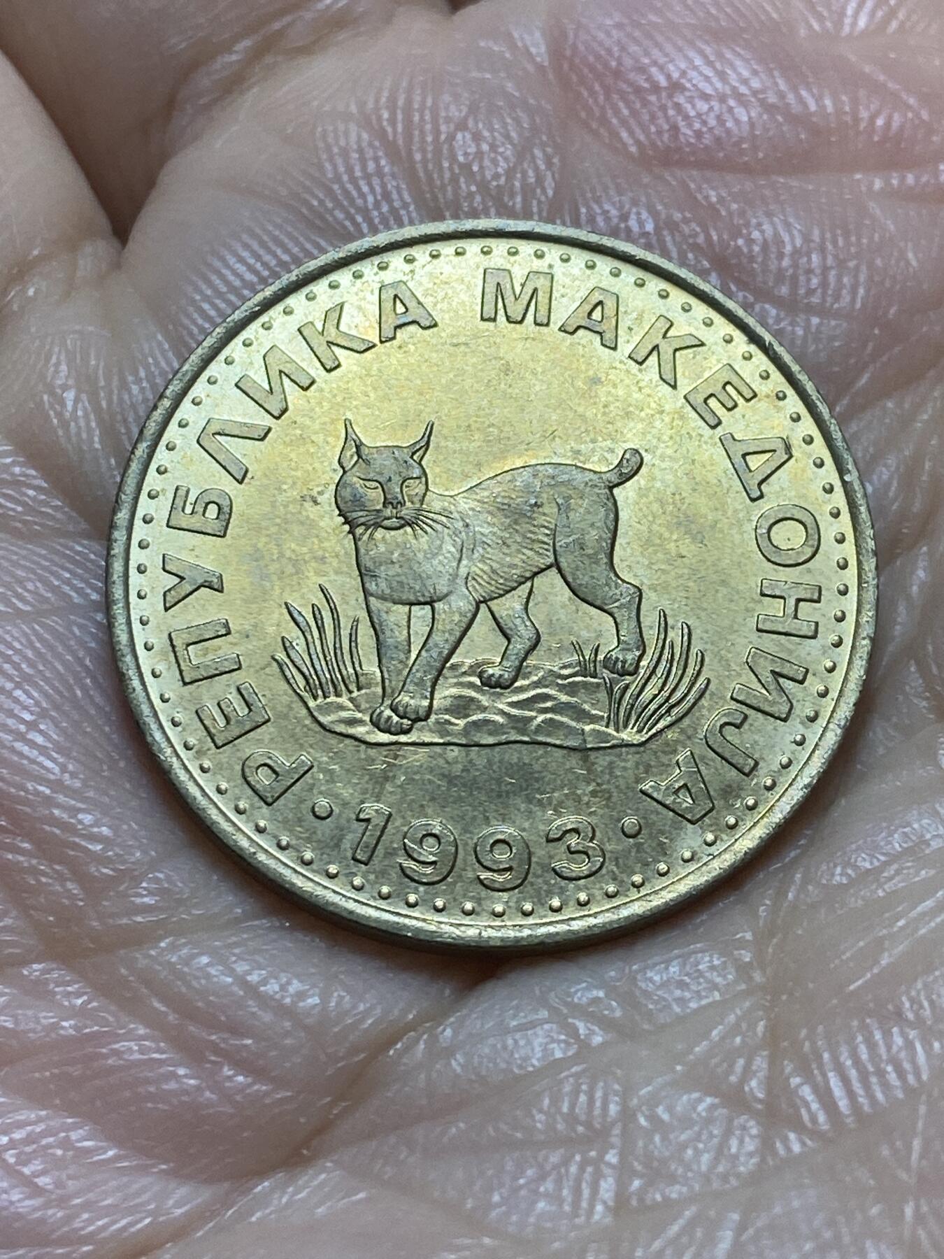 2025年第一百一十九场(总第一百四十五场）外国好品散币(免佣金) 北马其顿🇲🇰1993年5第纳尔