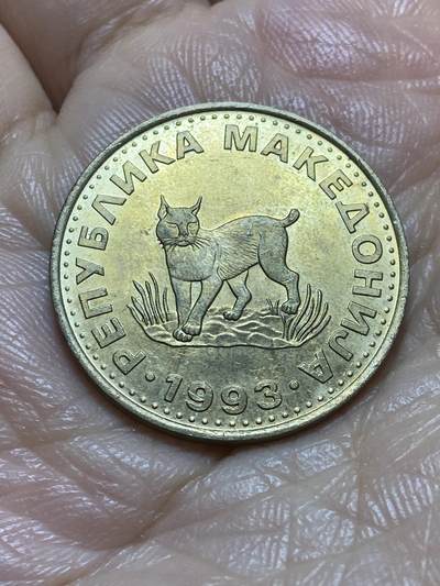 2025年第一百一十九场(总第一百四十五场）外国好品散币(免佣金) - 北马其顿🇲🇰1993年5第纳尔