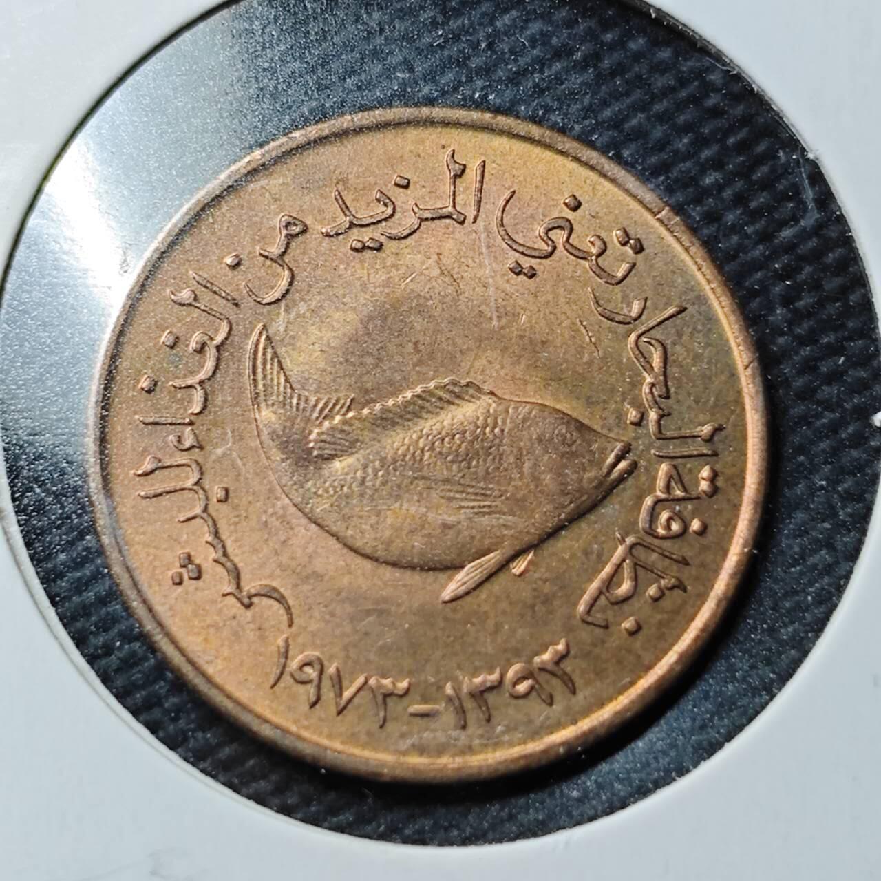 KK钱币收藏小铺  第360场  2月预留时间 周末发货  阿联酋5费尔 好品