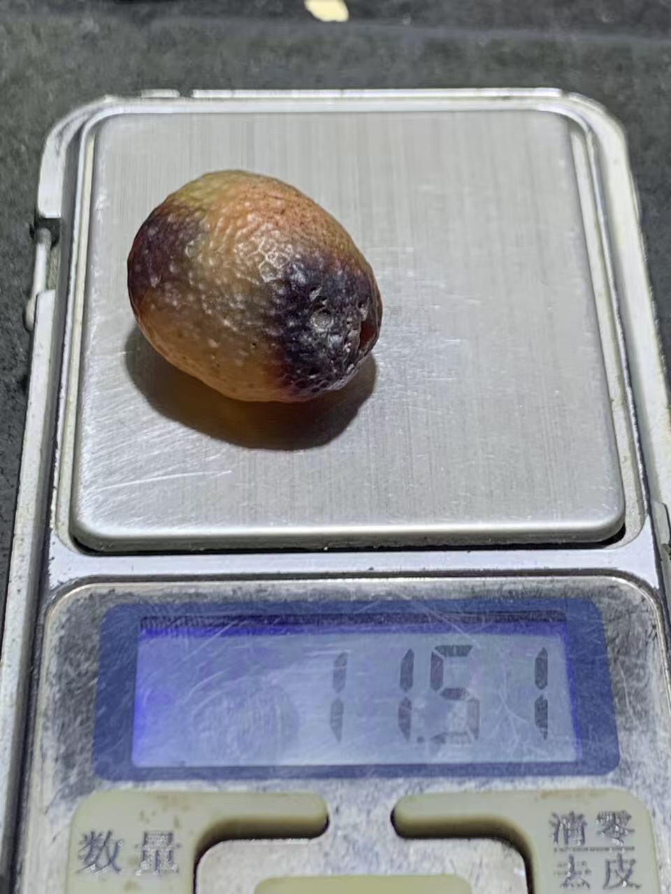 精美天然戈壁阿拉善麻皮酒红色俏色糖心大珠子一个，