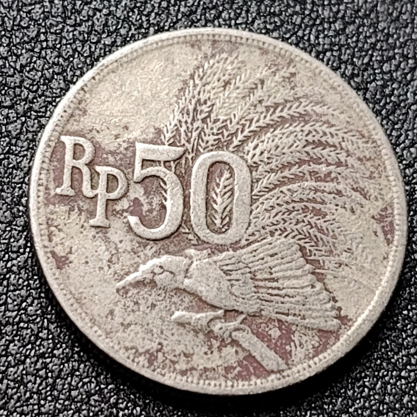 泉币菌-第119场-精品福利场 。