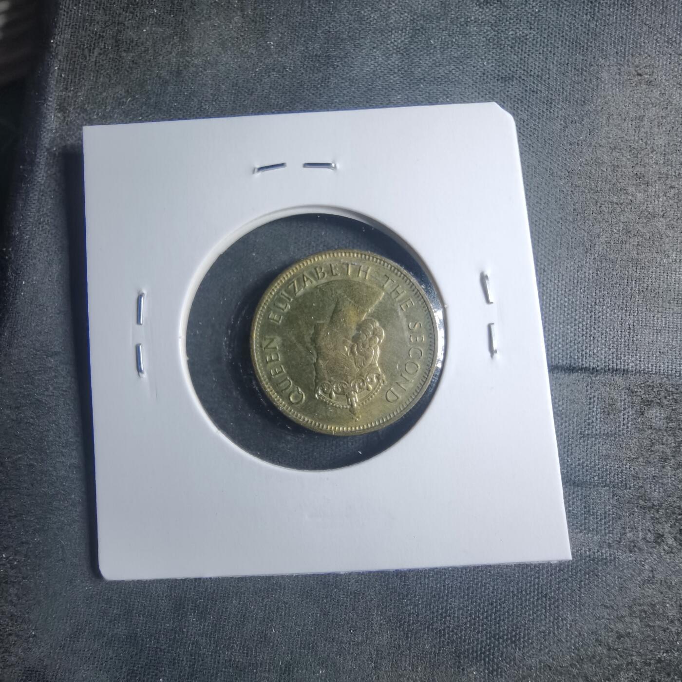 沼泽如烟--第885场 香港1980年特年