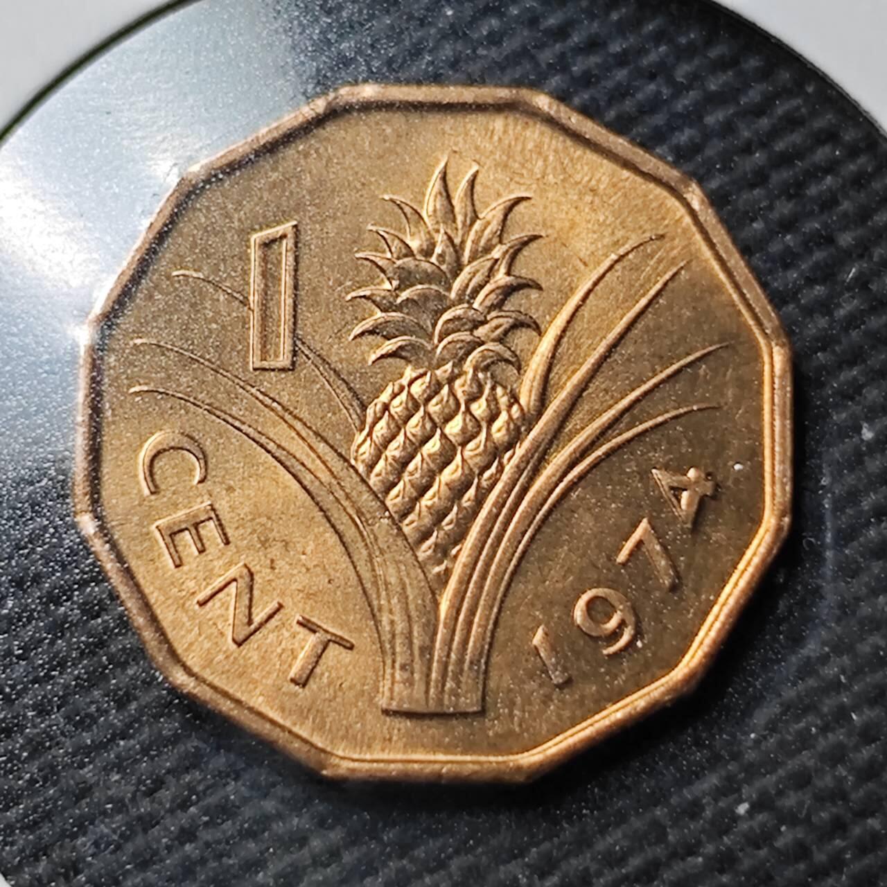 KK钱币收藏小铺  第360场  2月预留时间 周末发货  1974斯威士兰1分铜币 好品