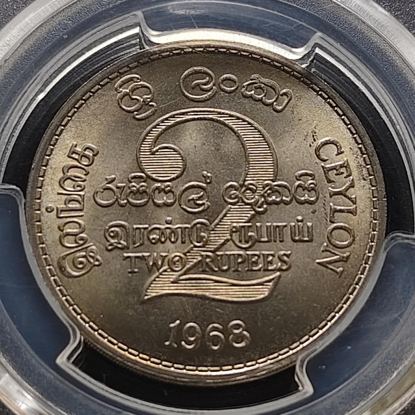 【全场包邮】纯粹捡漏拍473场（免费代拍第10场）