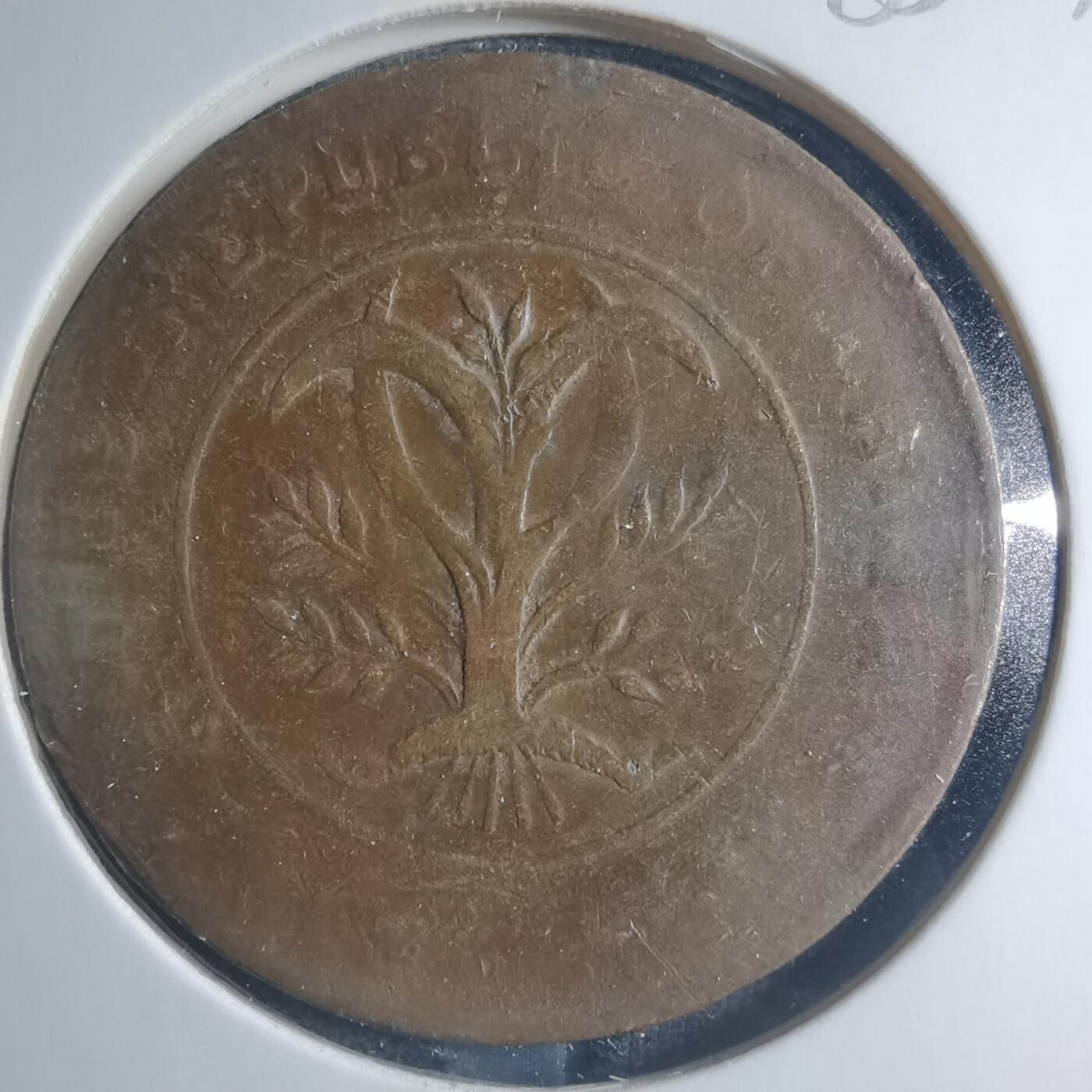 沼泽如烟--第885场 湖南铜板