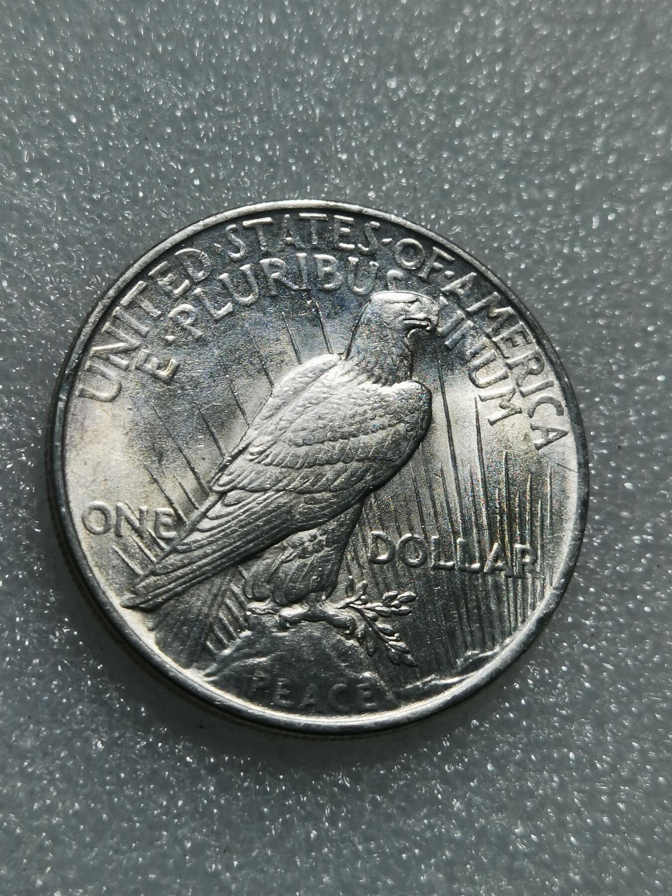 天下钱庄专场欢迎参拍 UNC 美国和平鸽一美元银币