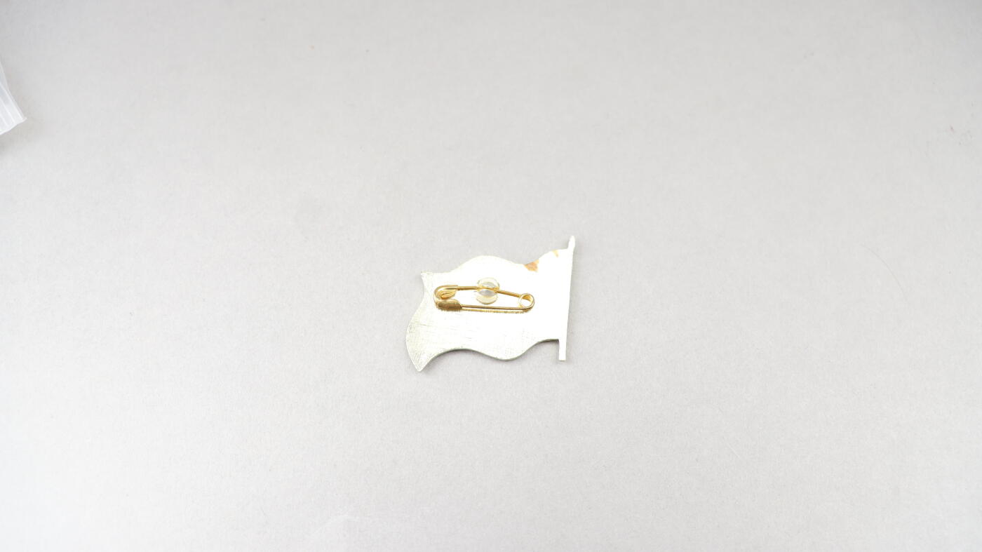 历代徽章20 越南国旗章