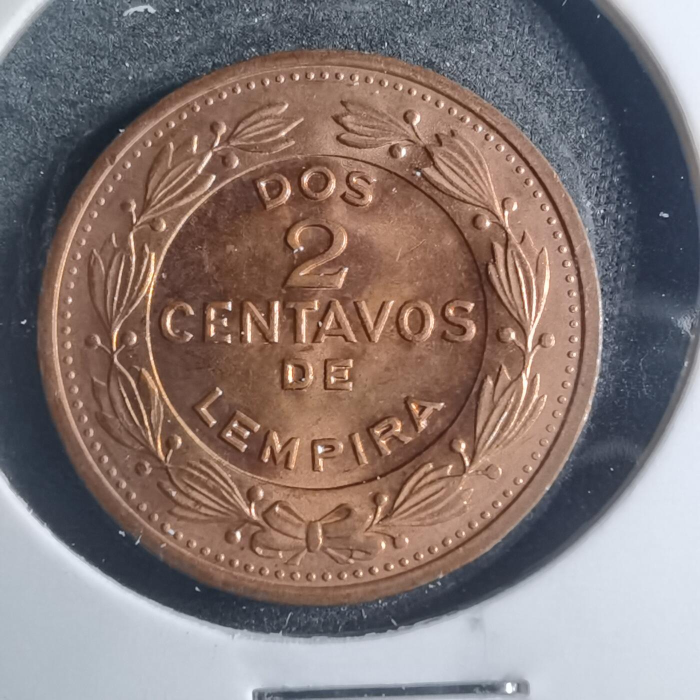 沼泽如烟--第885场 洪都拉斯1974年二分