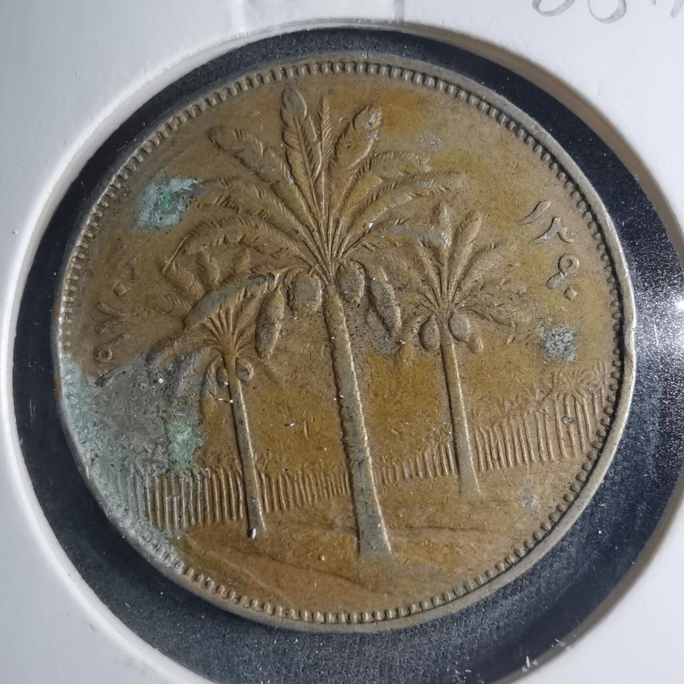 沼泽如烟--第885场 伊拉克