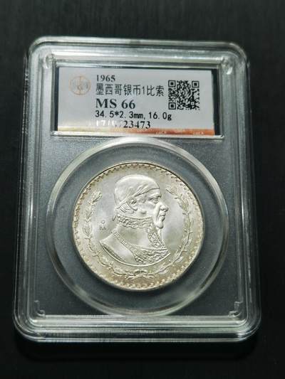 天下钱庄专场欢迎参拍 - 墨西哥一比索银币