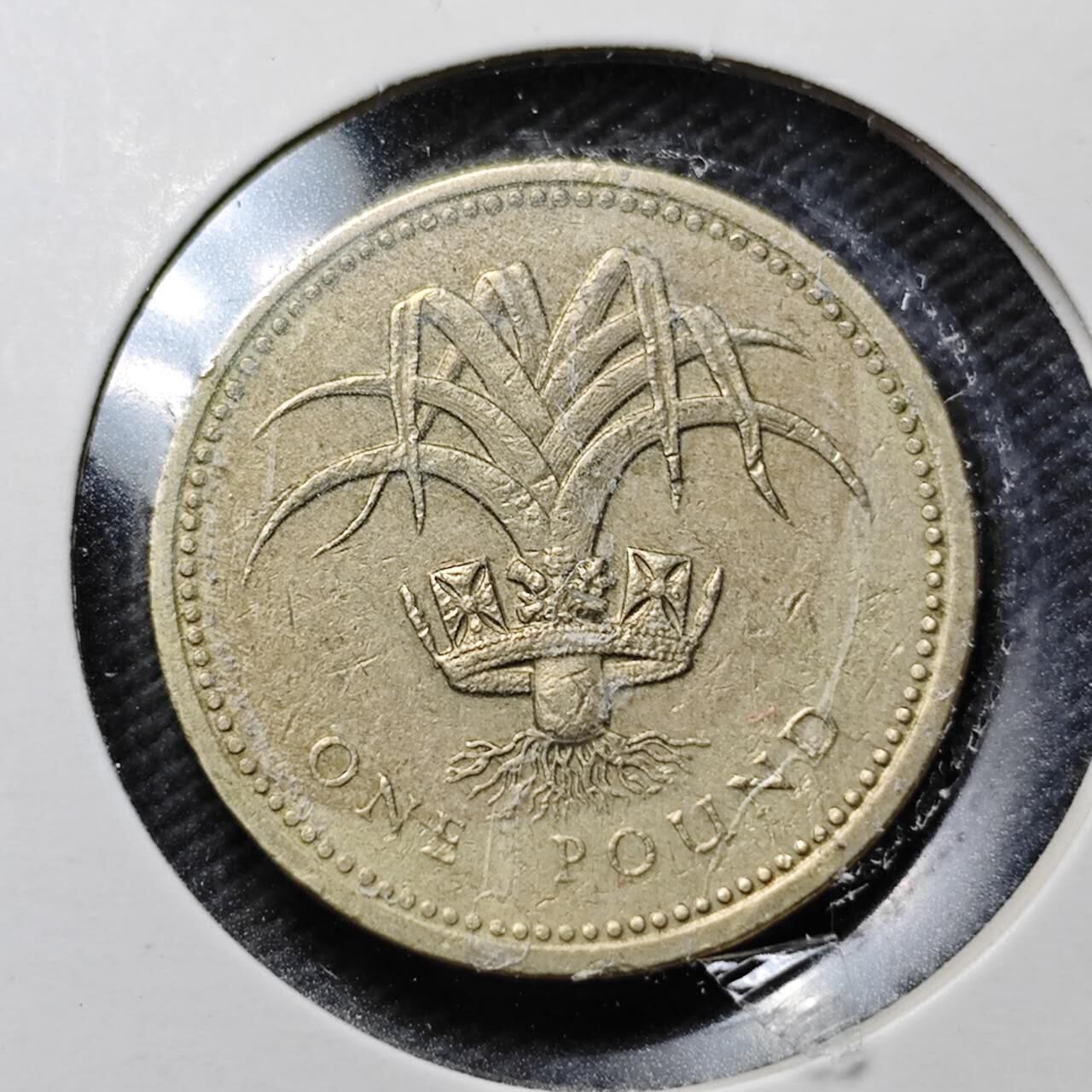 KK钱币收藏小铺  第360场  2月预留时间 周末发货 1985英国1镑 