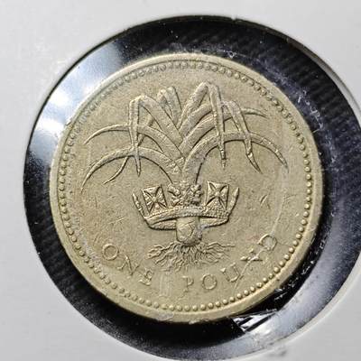 KK钱币收藏小铺  第360场  2月预留时间 周末发货 - 1985英国1镑 