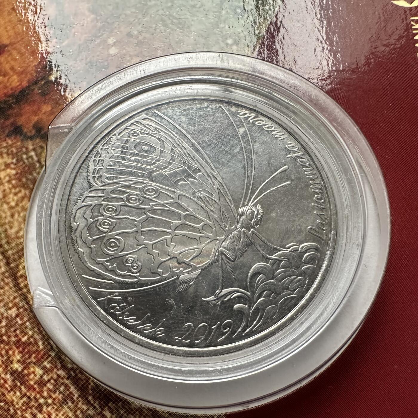 🌹外币初藏🌹🐯2025年第121场  每周二四六晚8️⃣点 哈萨克纪念币 哈萨克斯坦2019年珍稀动物--棕色眼蝶100坚戈纪念币 发行量2万枚 精制币镭射工艺，阳光下翅膀显现五彩