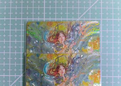 C先生卡牌 第15期 元集纪·刷子签·罐儿签·毒瘤签(持续收拍品中...) - 【幻彩折光】燎原×刷子《人间传·太虚幻境》晴雯 双服饰