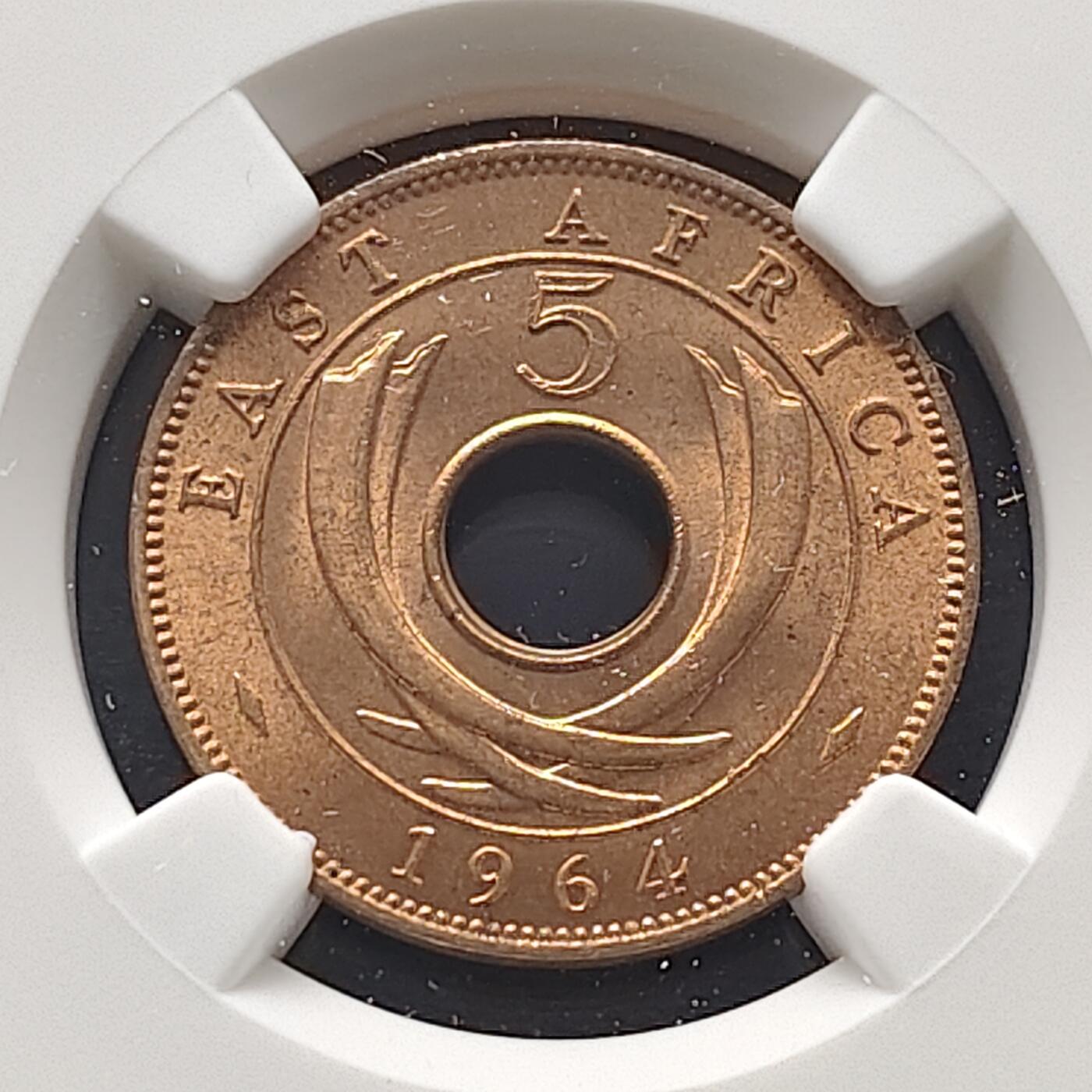 【全场包邮】纯粹捡漏拍473场（免费代拍第10场）