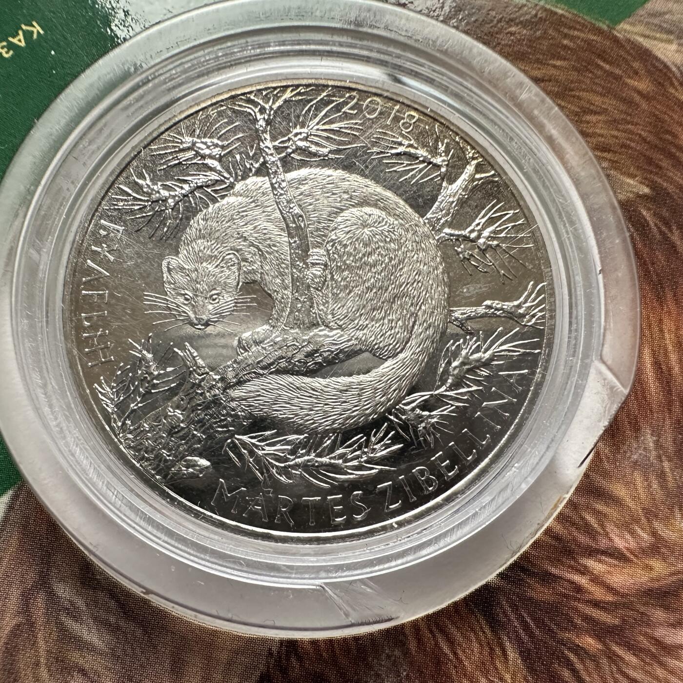 🌹外币初藏🌹🐯2025年第121场  每周二四六晚8️⃣点 哈萨克纪念币 哈萨克斯坦2018年珍稀动物--紫貂100坚戈纪念币 发行量3万枚