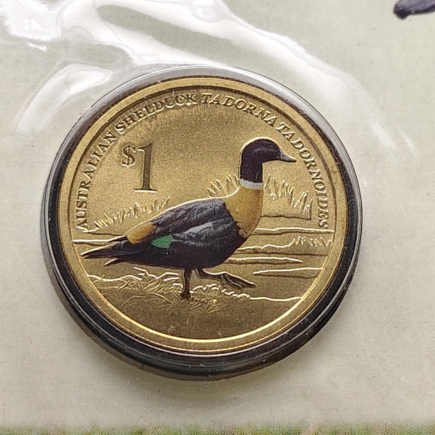 【全场包邮】纯粹捡漏拍473场（免费代拍第10场）