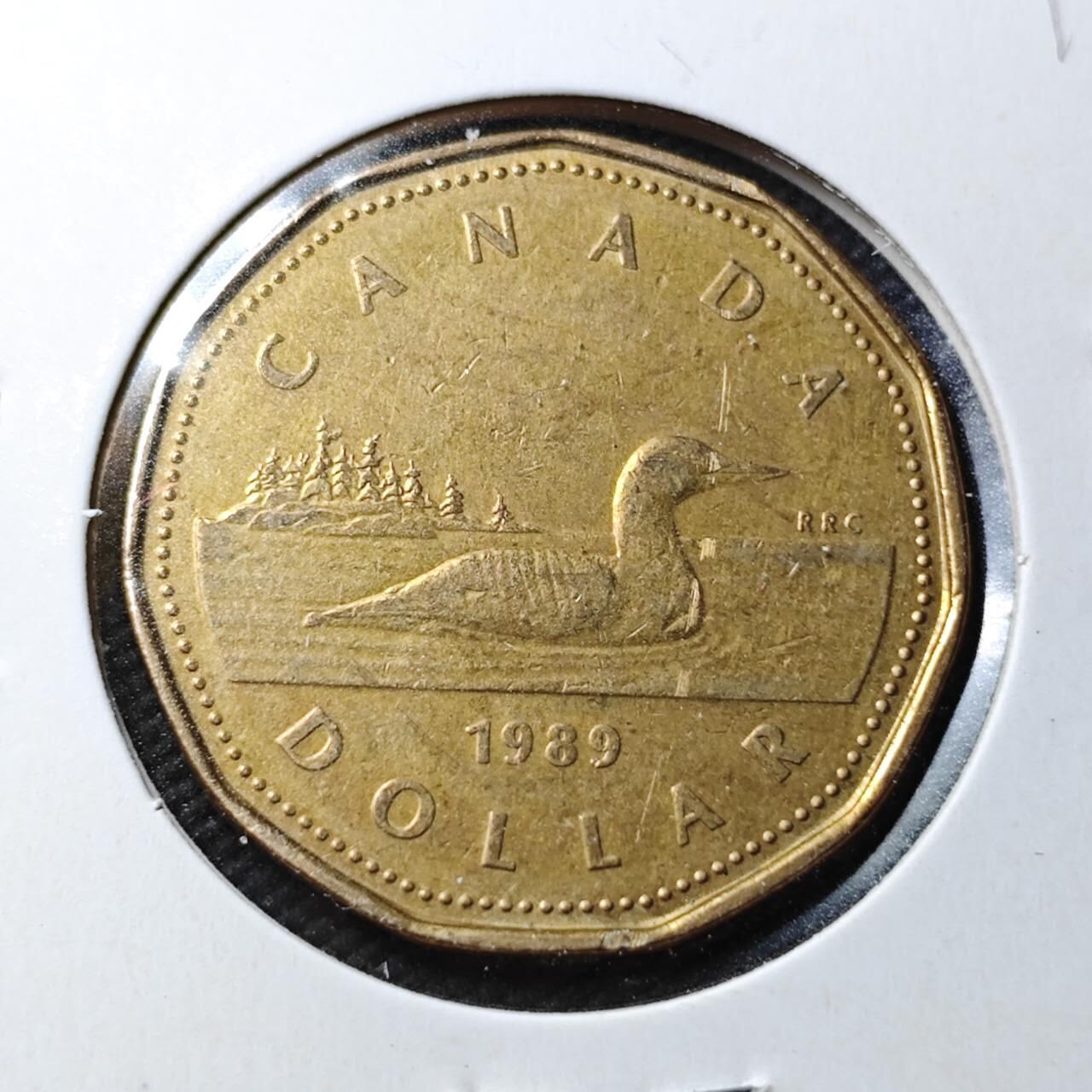KK钱币收藏小铺  第360场  2月预留时间 周末发货 1989加拿大1元 