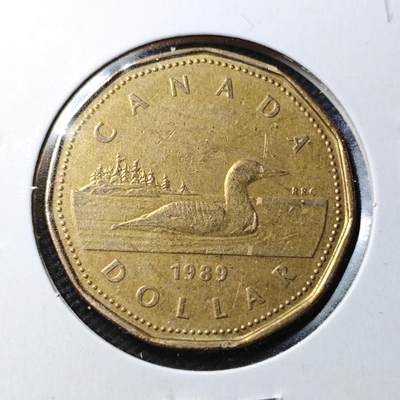 KK钱币收藏小铺  第360场  2月预留时间 周末发货 - 1989加拿大1元 