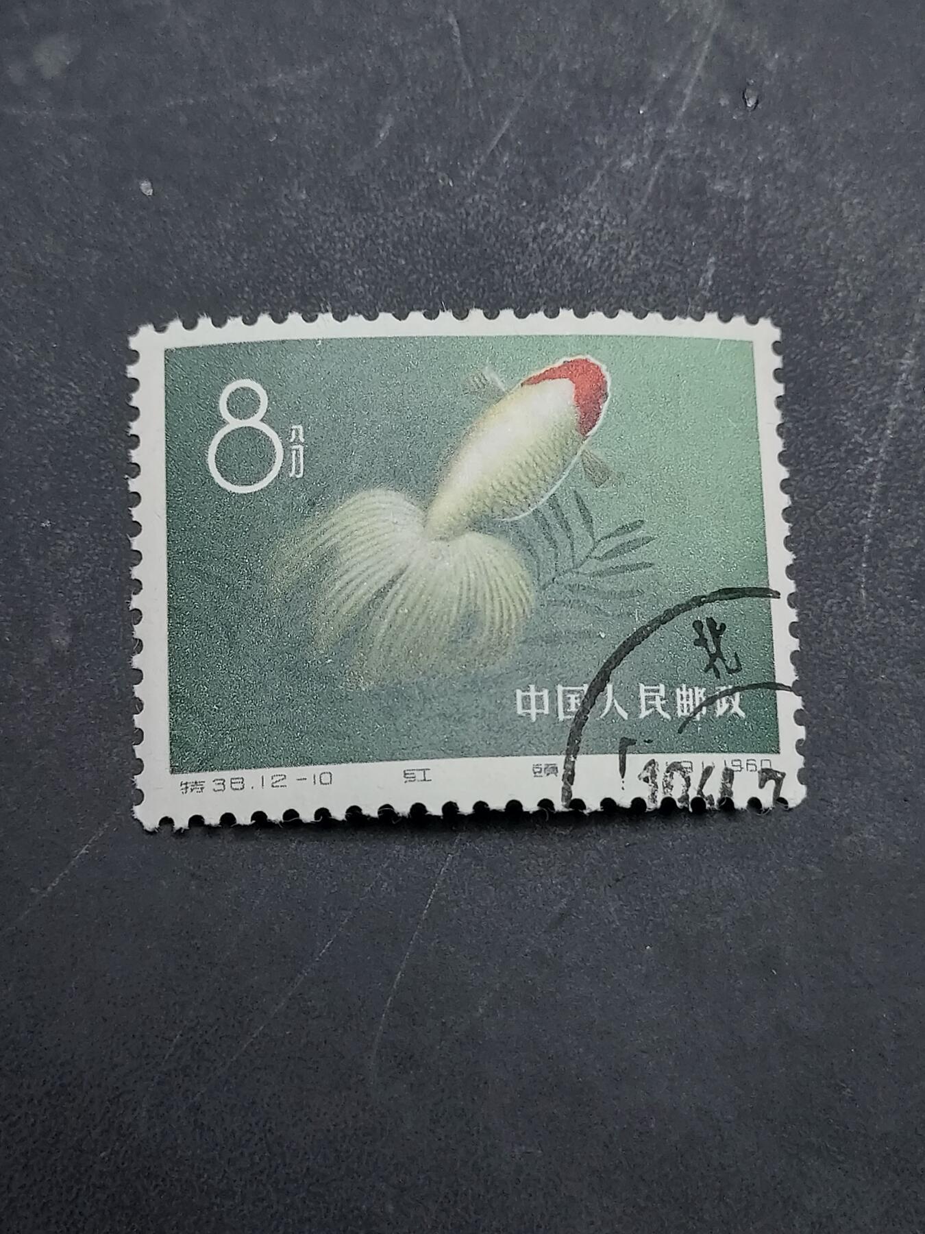 博彦收藏  11月3日 8点 邮票专场