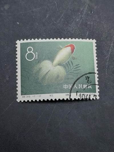 博彦收藏  11月3日 8点 邮票专场 - 金鱼 盖销一枚 有黄 上品