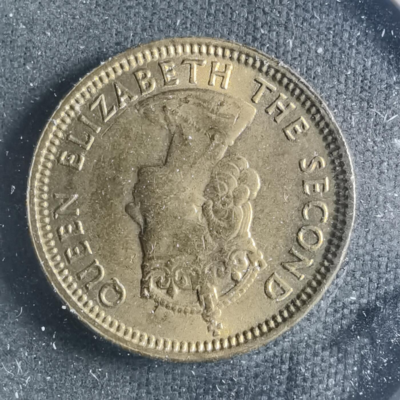 沼泽如烟--第885场 香港1967年五仙