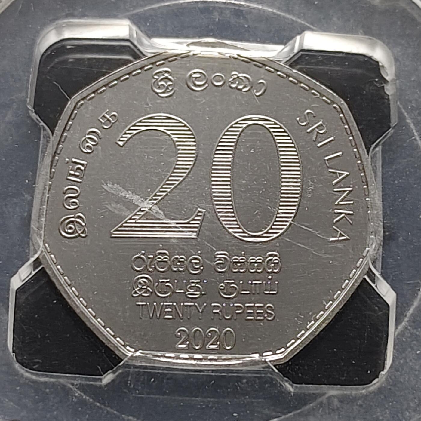 【全场包邮】纯粹捡漏拍473场（免费代拍第10场）