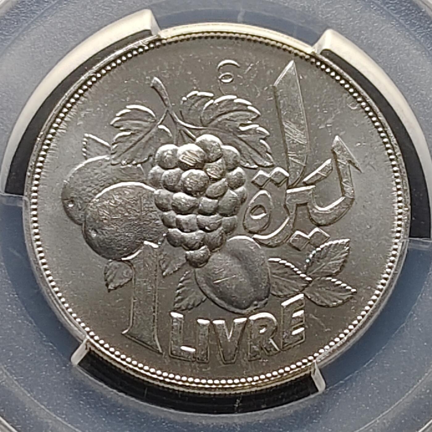 【全场包邮】纯粹捡漏拍473场（免费代拍第10场）