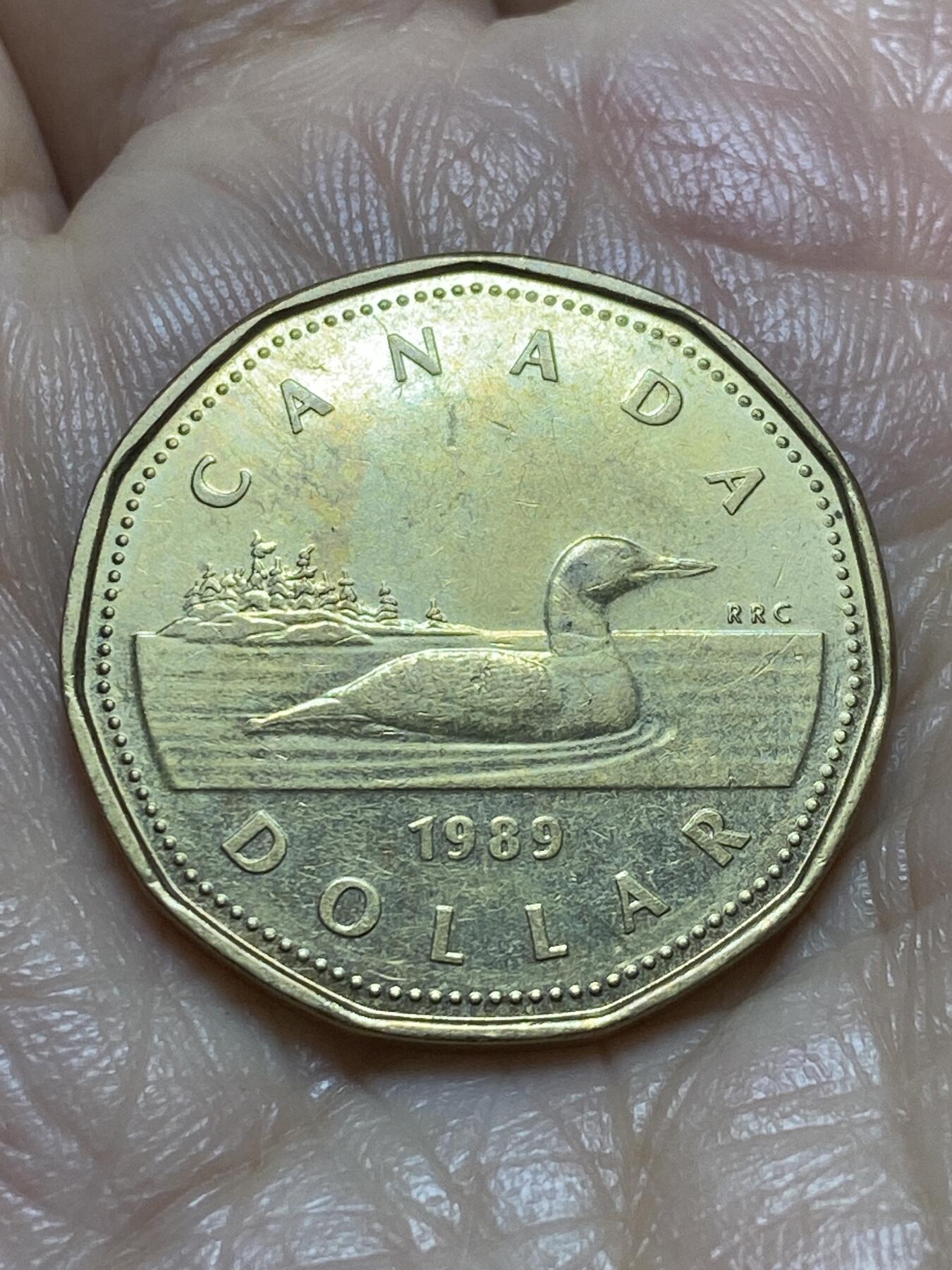 2025年第一百一十九场(总第一百四十五场）外国好品散币(免佣金) 加拿大🇨🇦1989年1元(伊丽莎白二世中年花冠，浅浮雕版)