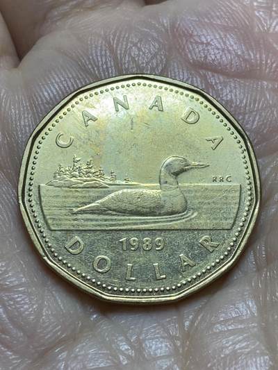 2025年第一百一十九场(总第一百四十五场）外国好品散币(免佣金) - 加拿大🇨🇦1989年1元(伊丽莎白二世中年花冠，浅浮雕版)