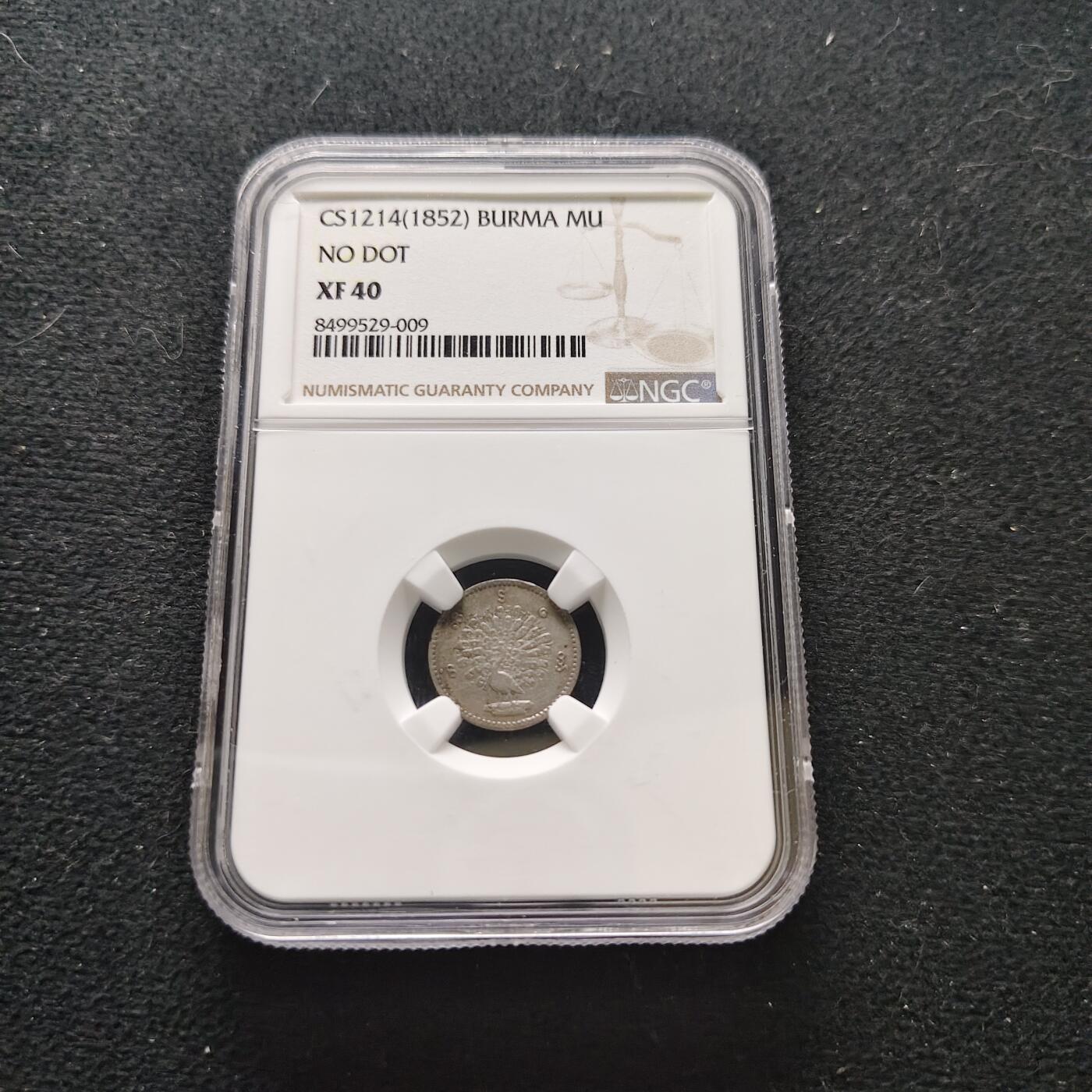 【全场包邮】纯粹捡漏拍473场（免费代拍第10场）