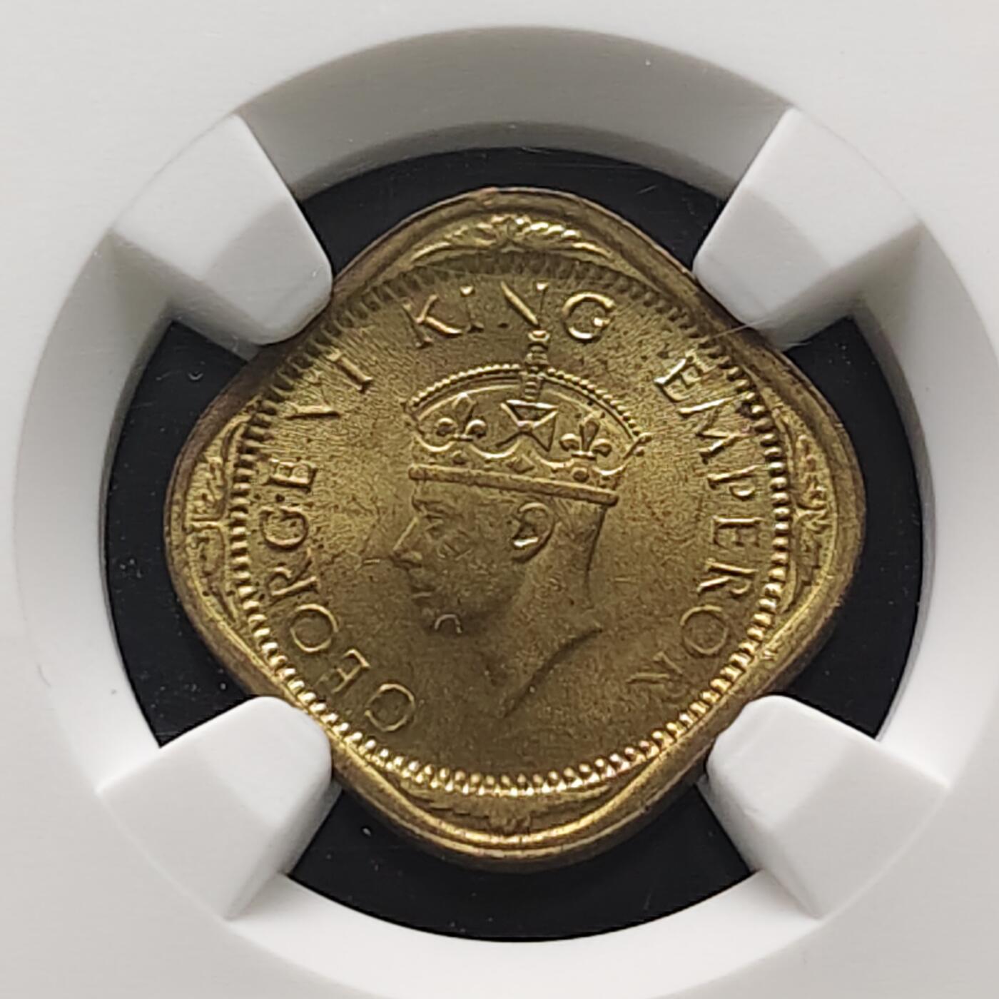 【全场包邮】纯粹捡漏拍473场（免费代拍第10场）