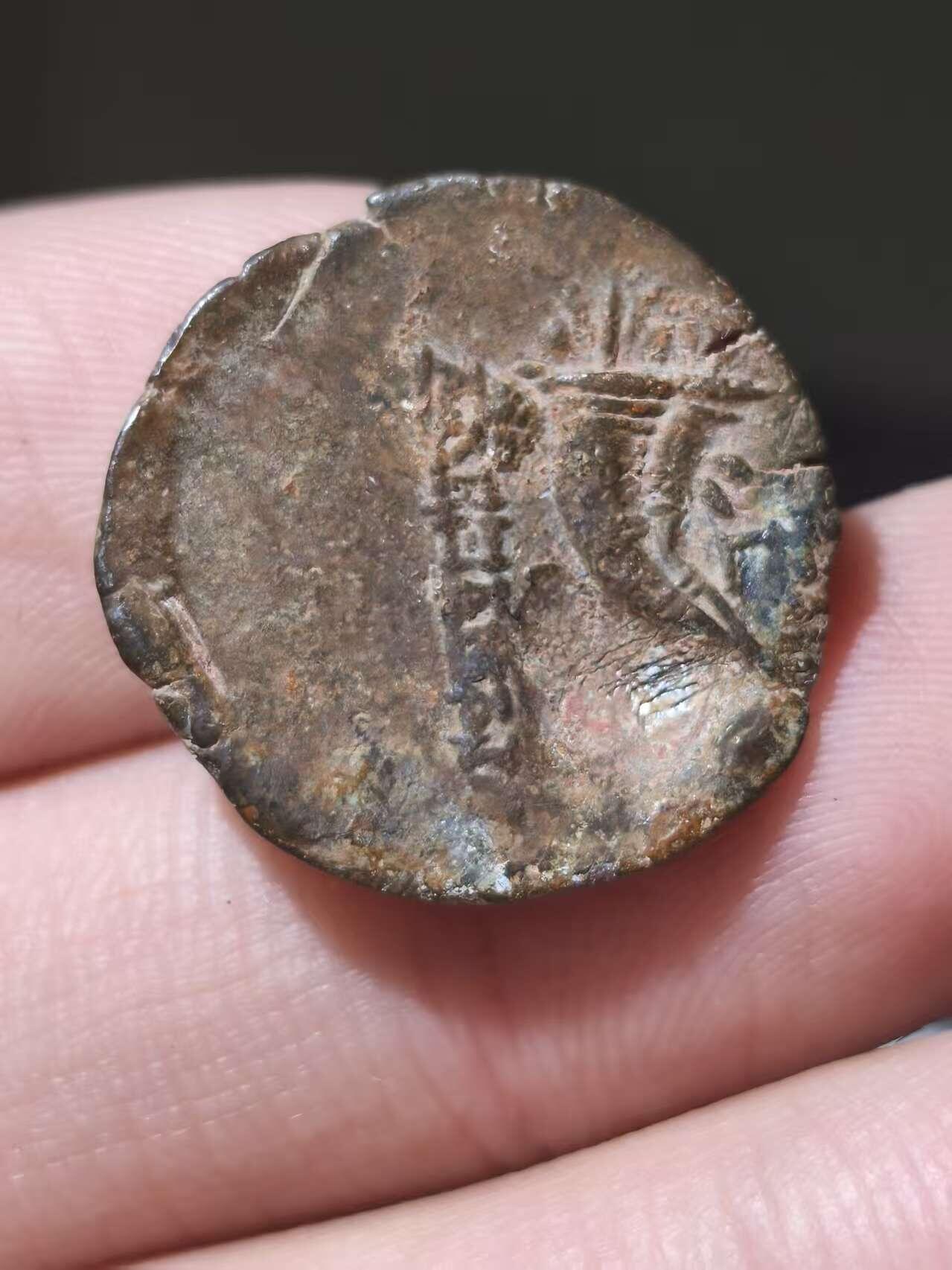 星盘世界钱币十一月五日古典币专场